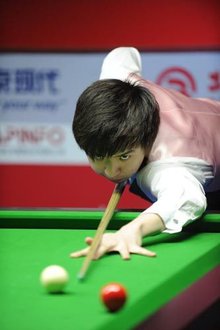 中采取了以 中采取了以